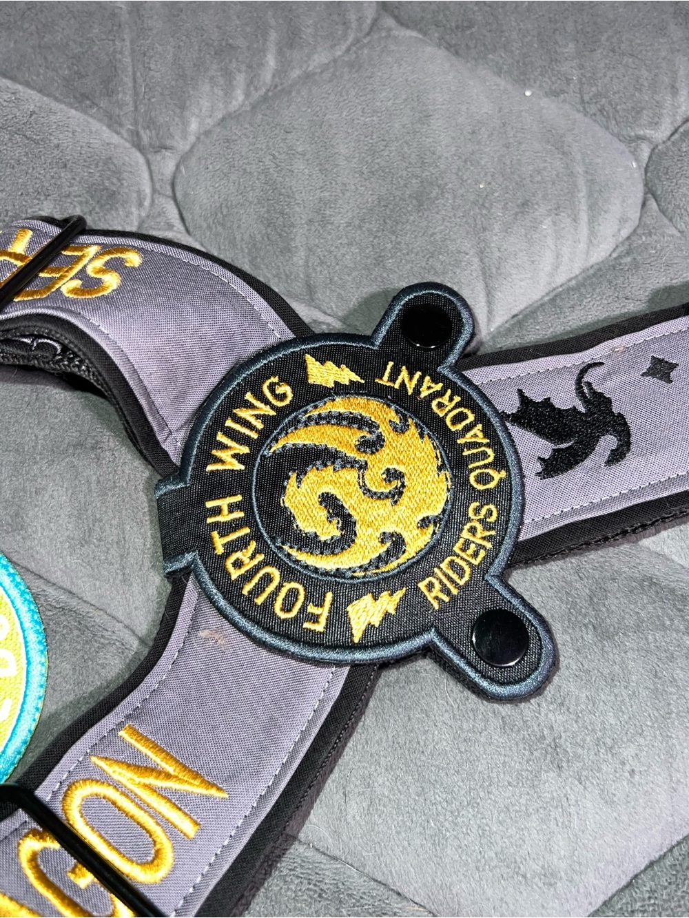 Fourth Wing Service Dog Set - Picture 3 of 3
